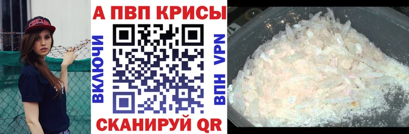 APVP СК  Нальчик 