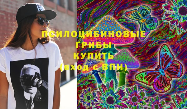 шишки Нея