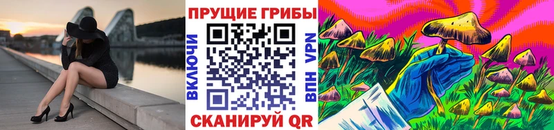 Галлюциногенные грибы Psilocybe  МЕГА сайт  Нальчик 