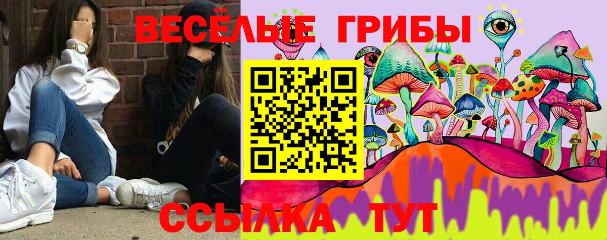 Нальчик  купить закладку  Вход с VPN  Псилоцибиновые грибы прущие грибы 